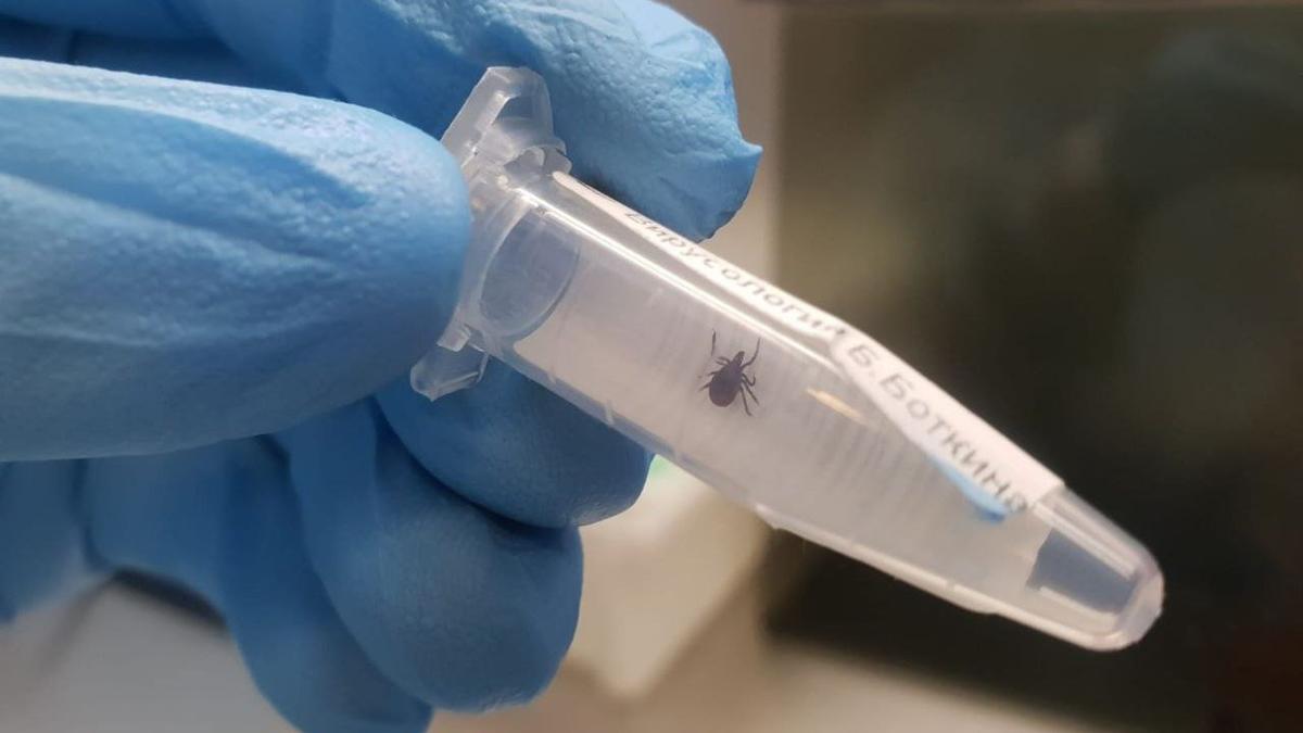 Фото: пресс-служба комитета по здравоохранению Петербурга