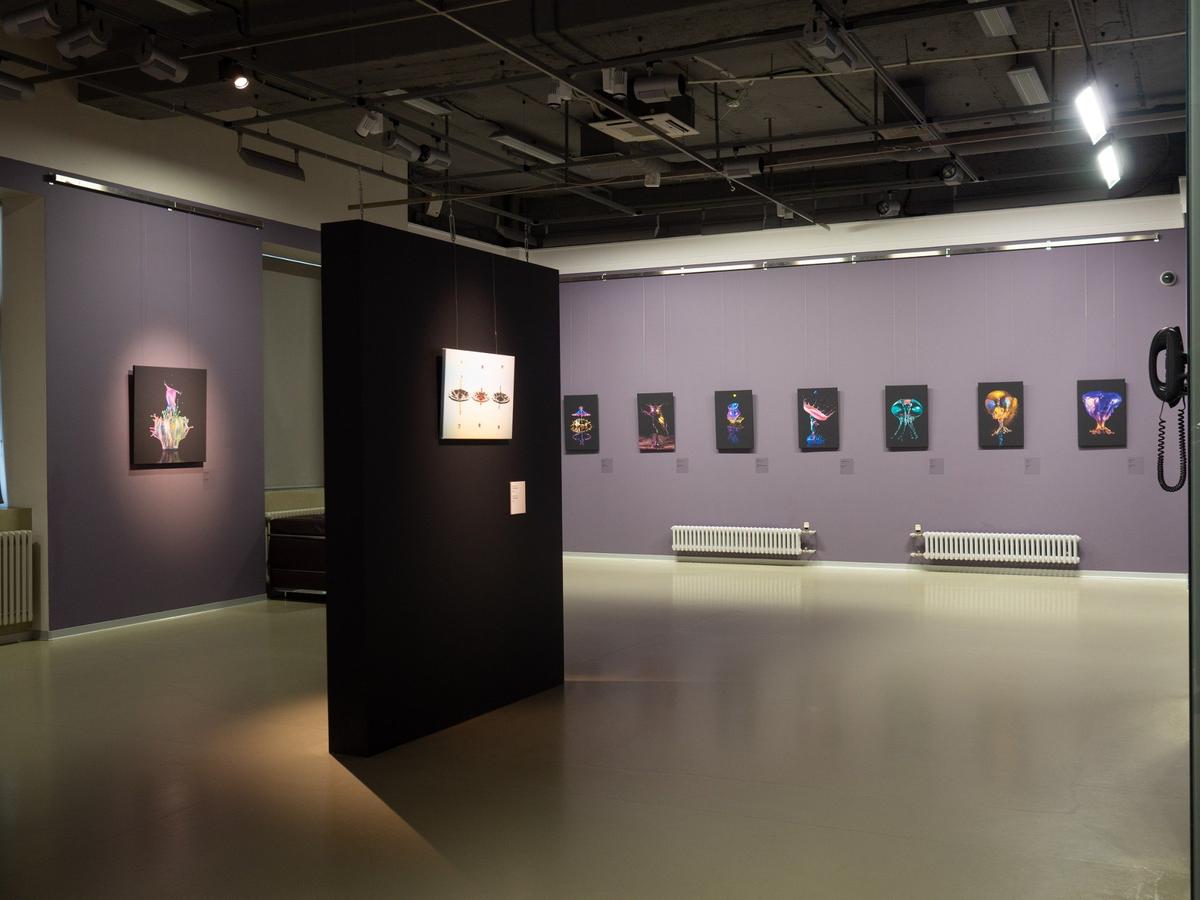 Фото: Дмитрий Абрамов / MR7