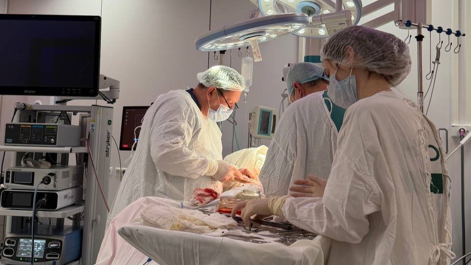 Фото: комздрав Петербурга