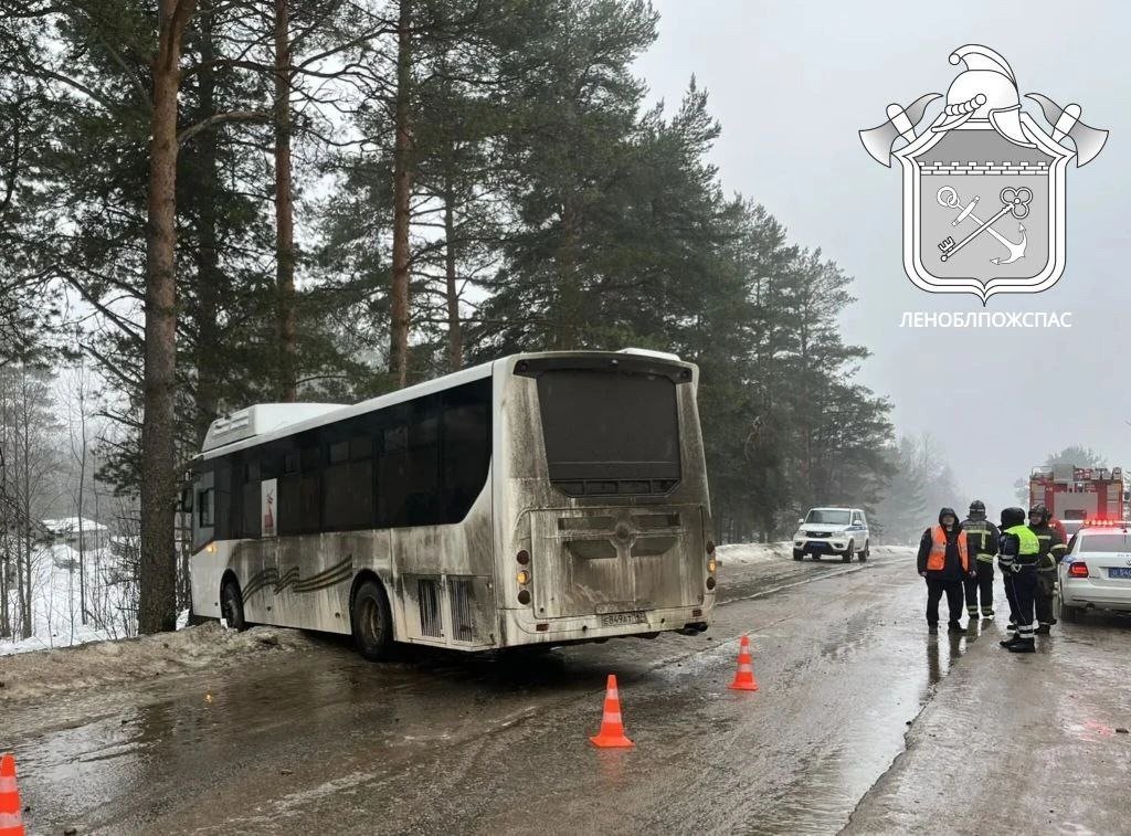 Фото: «Леноблпожспас»