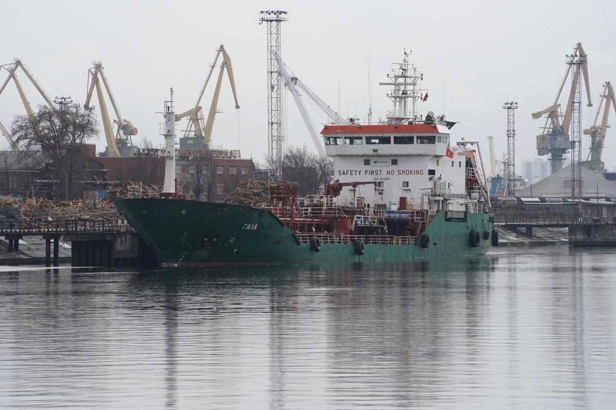 Фото: Павел Борисенко / МР7