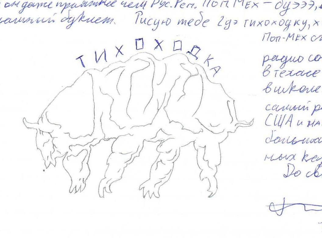 Рисунок Виктора Филинкова. Фото предоставлено Евгенией Кулаковой
