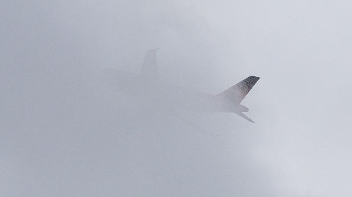 Фото: Олег Золото / MR7