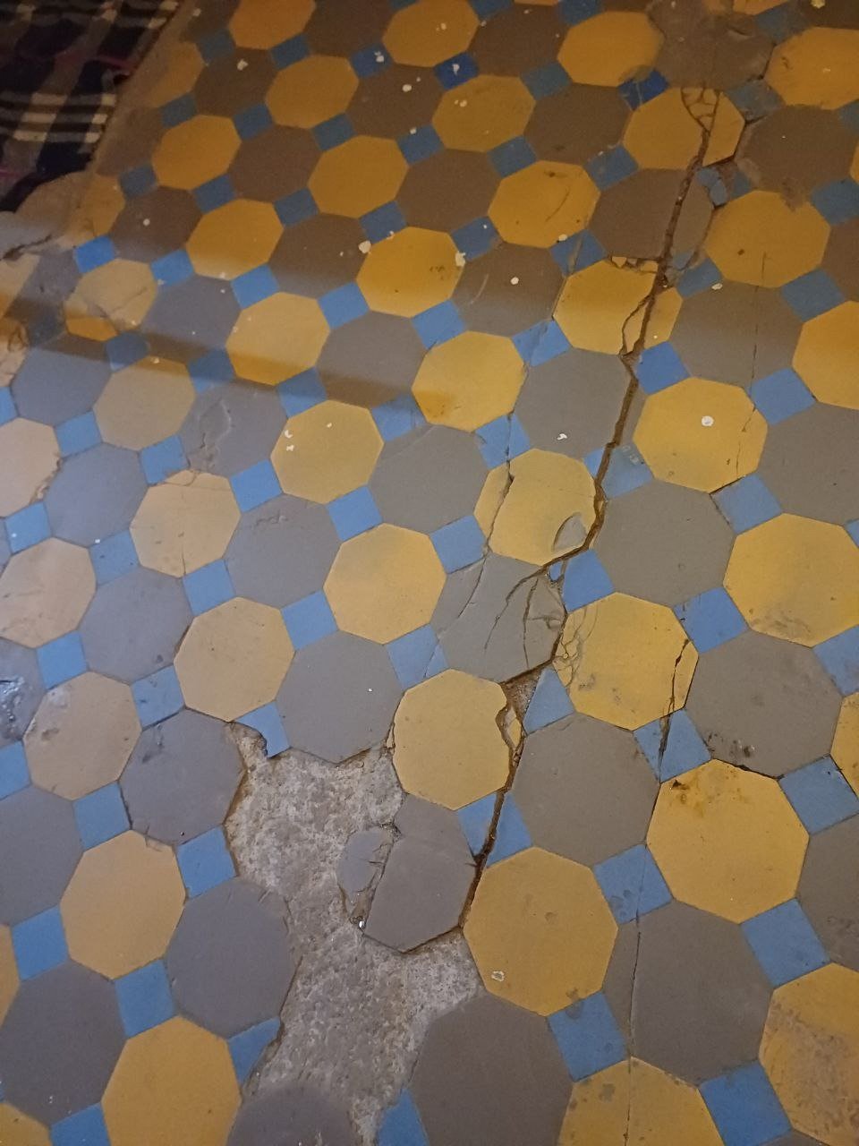 Фото: предоставлено жильцами дома Колобовых