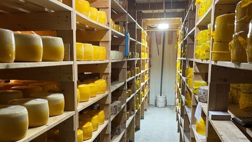 Фото: прокуратура Петербурга