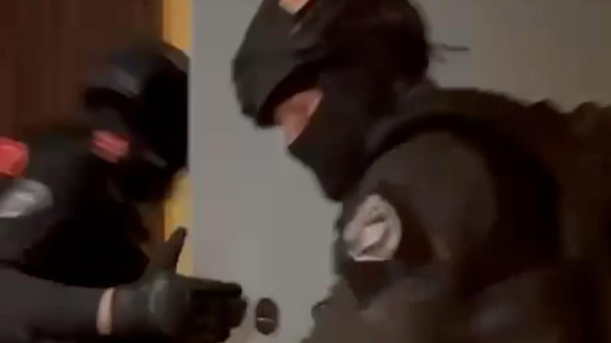 Скриншот: видео ГУ МВД по Петербургу и Ленобласти
