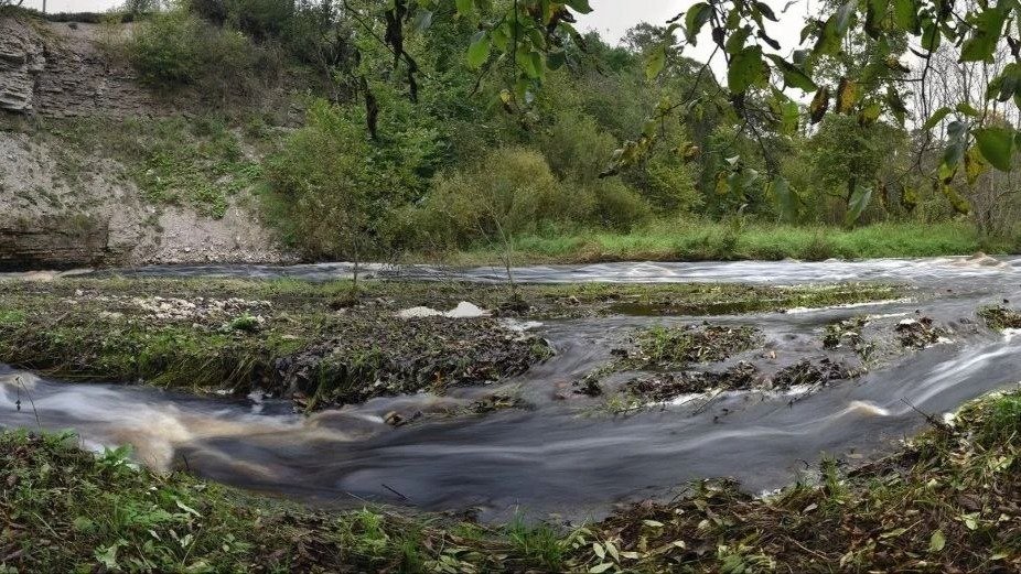 Фото: Александр Дрозденко