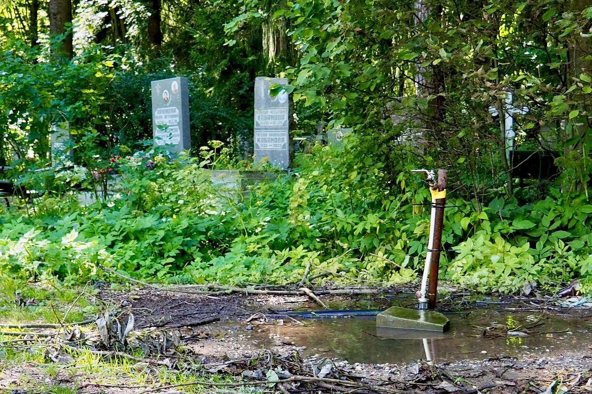 Единственная на округу водонапорная колонка, которая находится на Северном кладбище. Фото: Павел Даиси / MR7