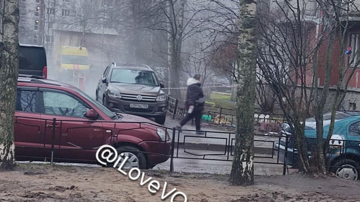 Фото: «Я люблю Васильевский остров»