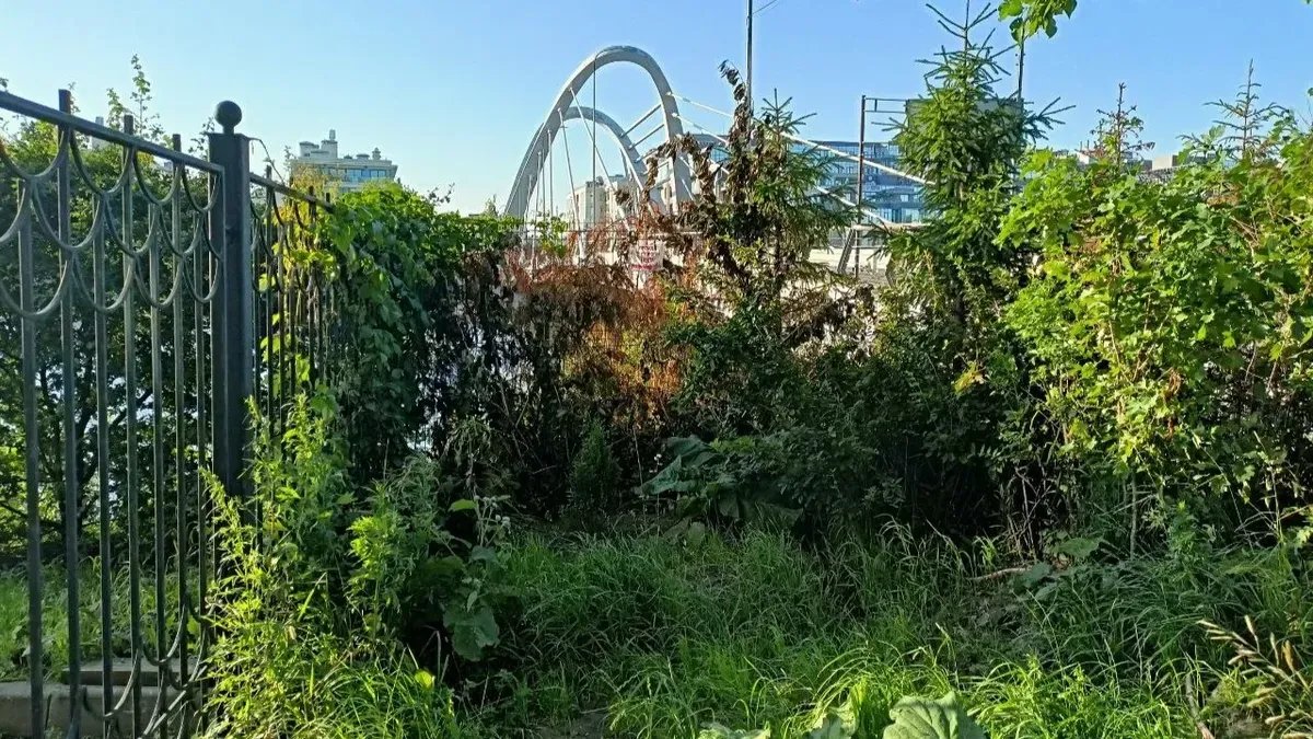 В администрации Петроградского района обещали убрать забор вдоль берега Малой Невки у элитного ЖК