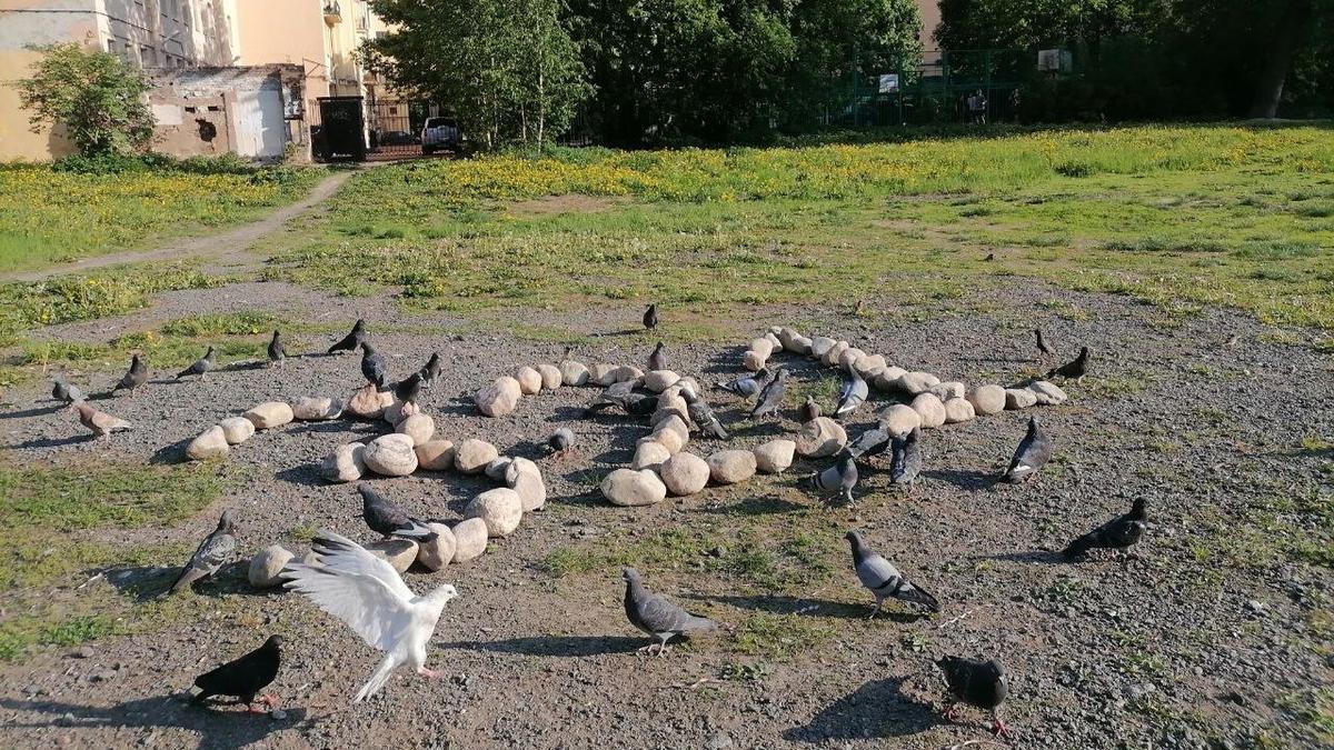 В день города градозащитники вспомнили про забытых первостроителей: 255 в 321-й