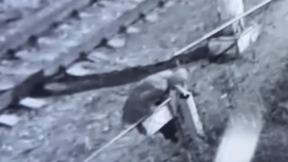 Скриншот видео: Ирина Волк