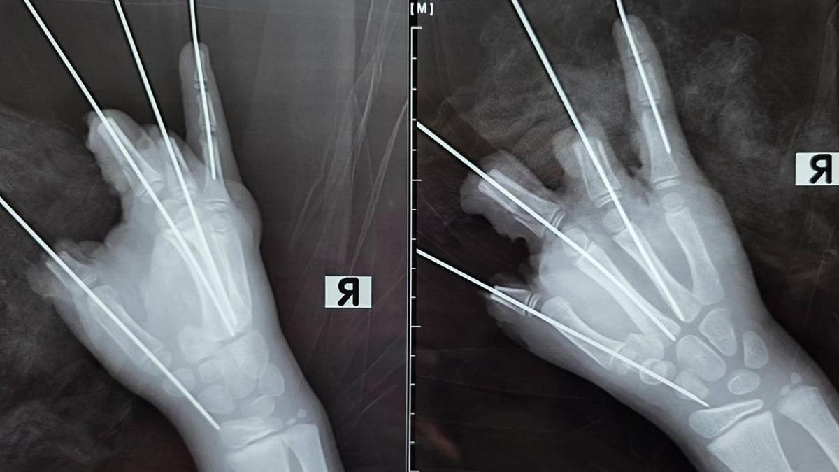 Фото: педиатрический медицинский университет Петербурга