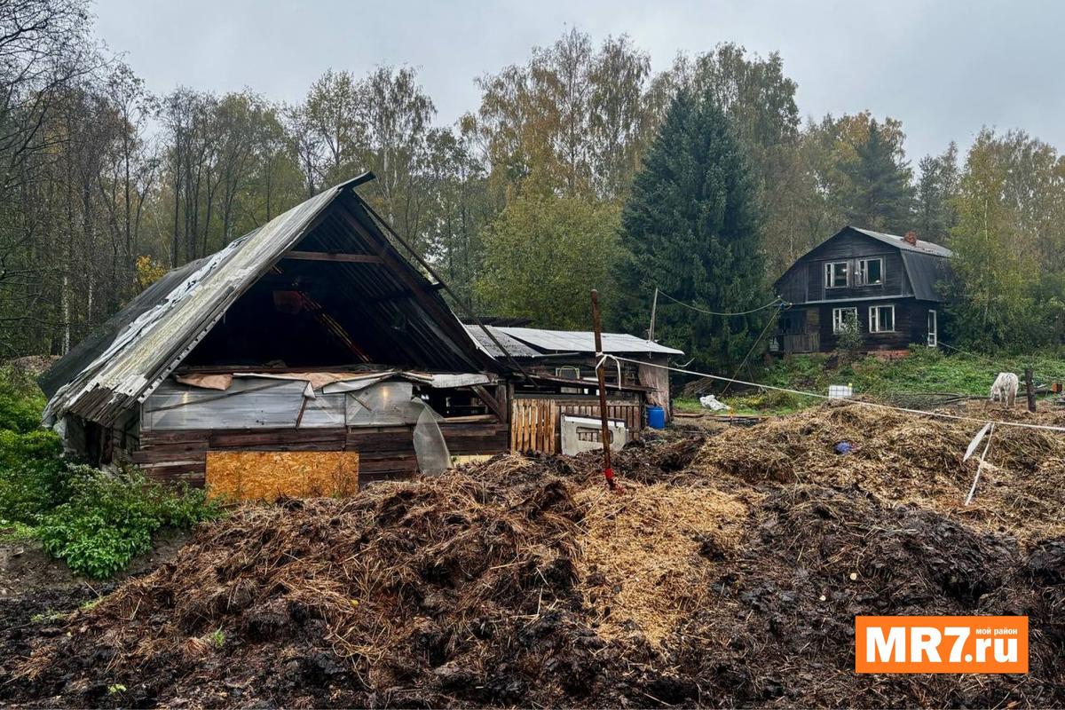 Денник в «Арене». Фото: Елизавета Наливайко / MR7