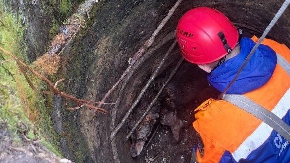 Фото: аварийно-спасательная служба Ленобласти