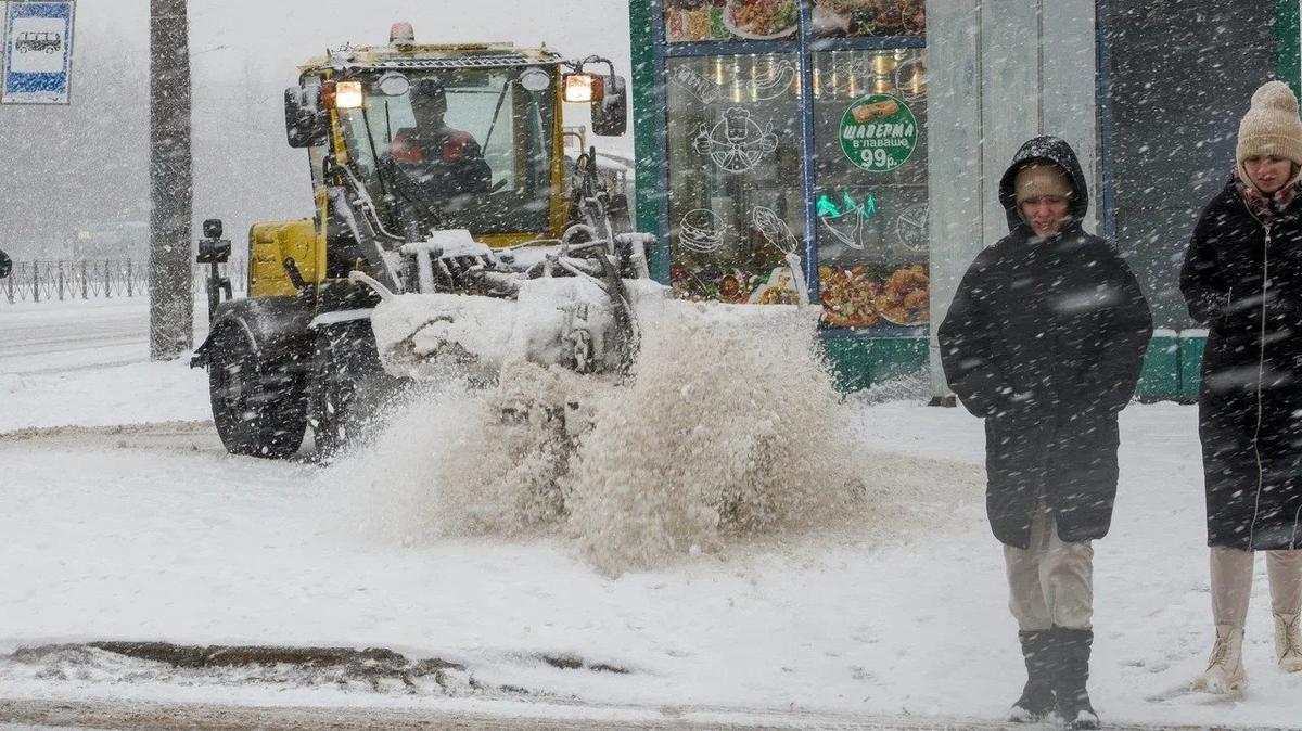 Фото: Олег Золото / MR7