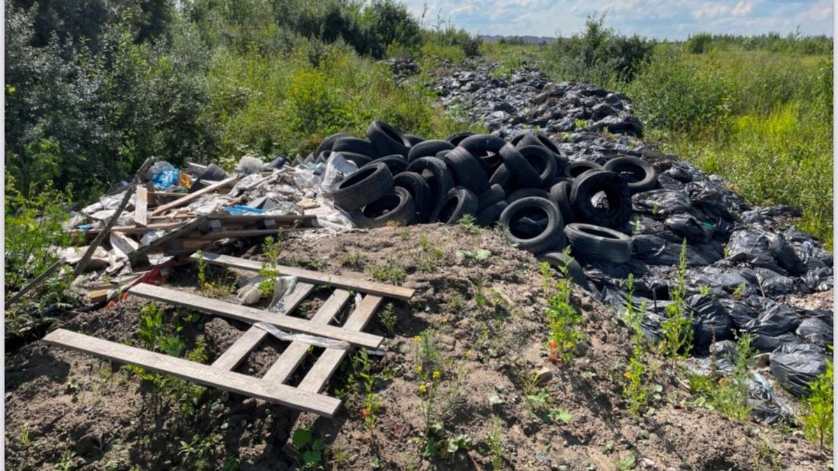 Фото: прокуратура Петербурга