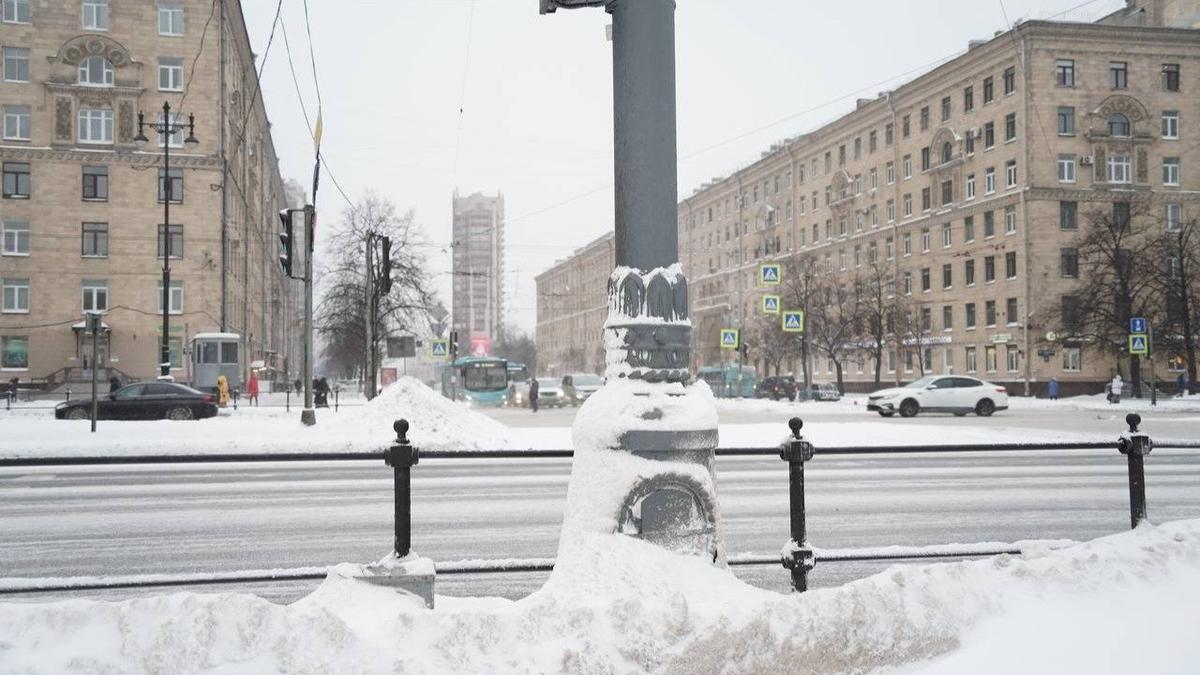 Фото: Павел Борисенко / MR7