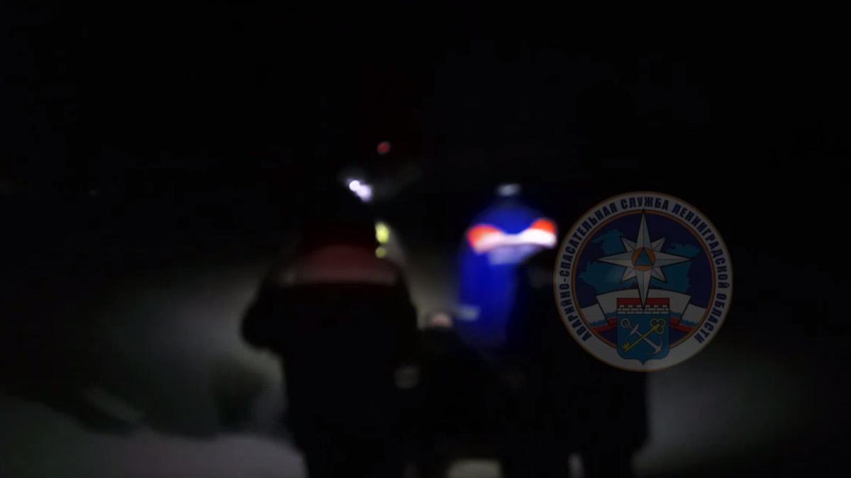 Скриншот видео: аварийно-спасательная служба Ленобласти