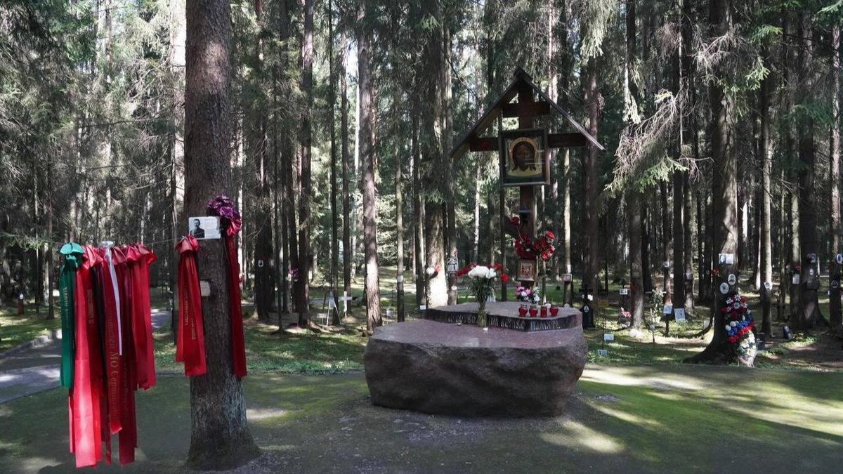 Фото: Павел Борисенко / МР7