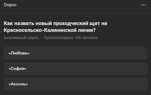 Скриншот: соцсети Александра Беглова