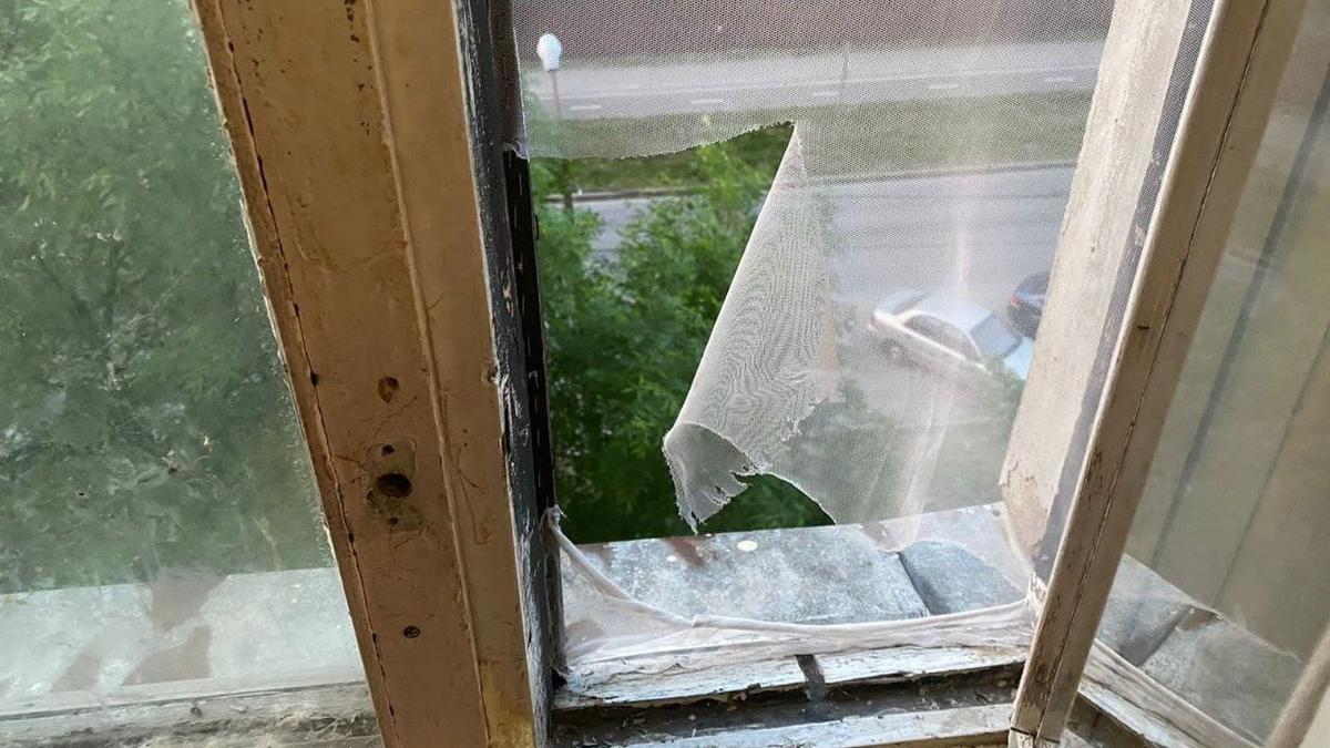 Двухлетний малыш выжил после падения с пятого этажа в Светогорске