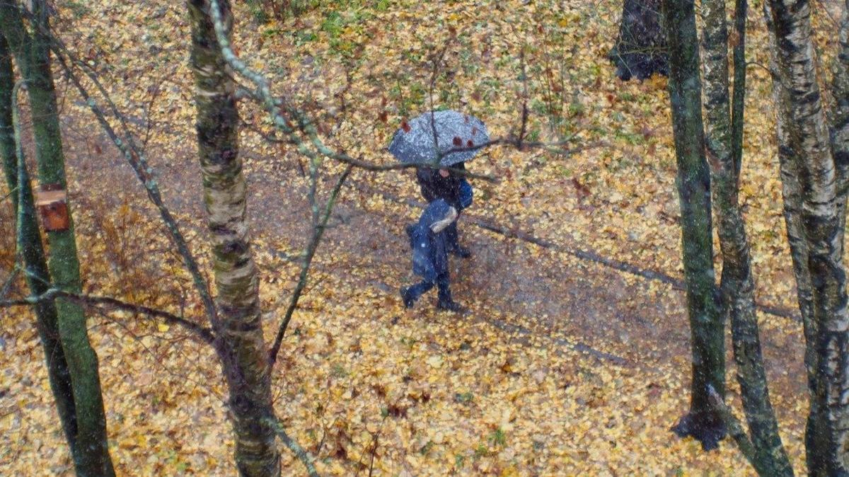 Фото: Дмитрий Абрамов / MR7