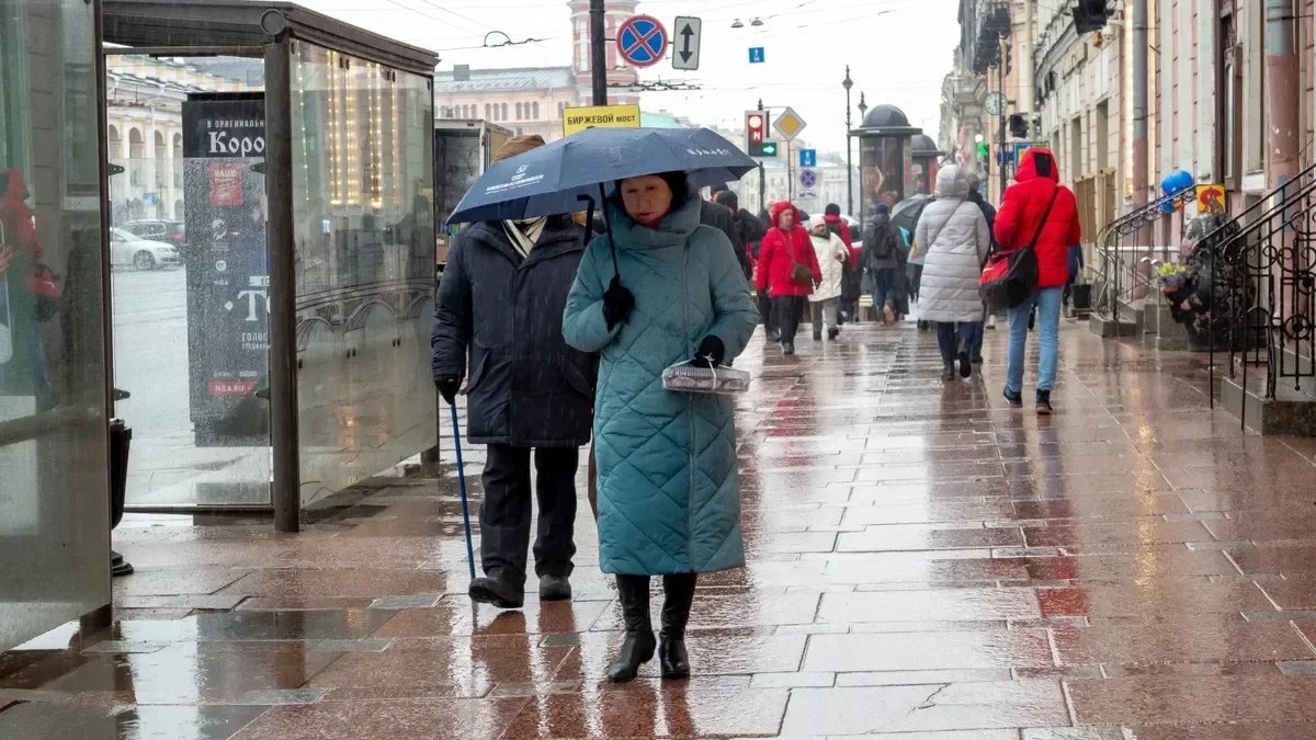 Фото: Олег Золото / МР7