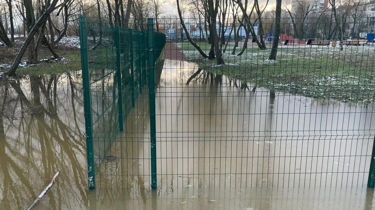 «Собачьим аквапарком» прозвали жители Пушкина новую площадку для выгула