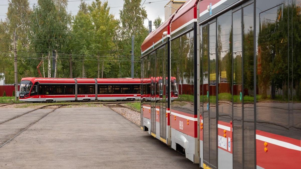 Фото: Олег Золото / МР7