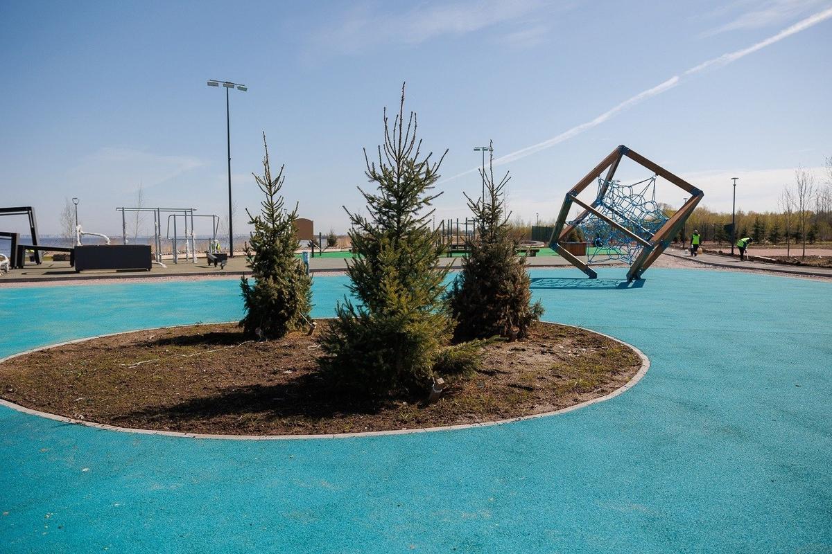 Благоустройство в посёлке Стрельна. Фото: страница главы администрации Петродворцового района Дмирий Попов «ВКонтакте»