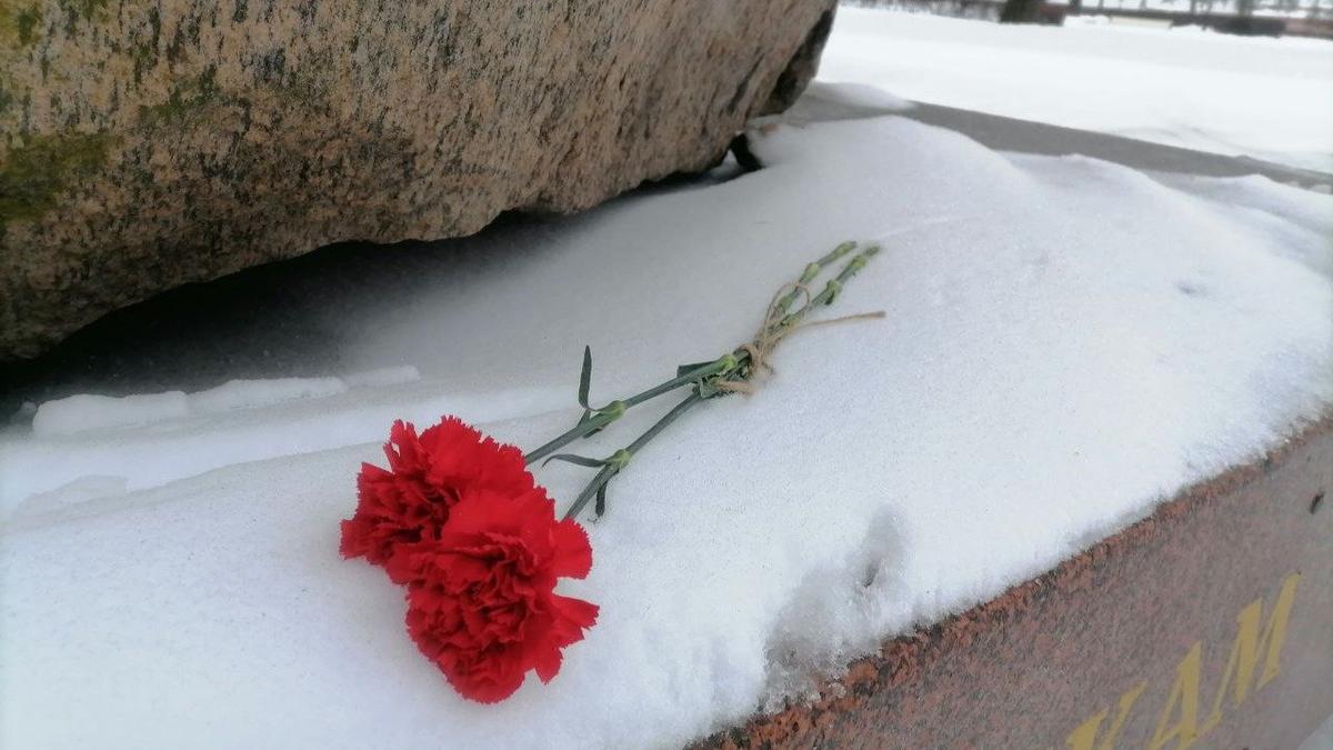 Фото: Елена Михина / MR7