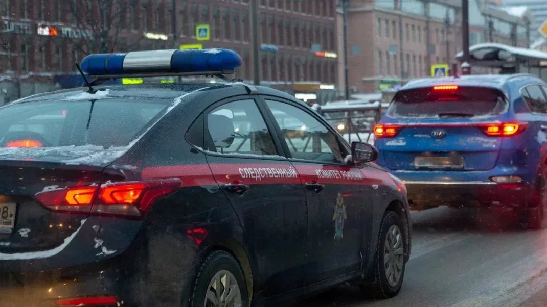 Бастрыкин поручил доложить о ситуации с избиением петербурженки на Боткинской улице