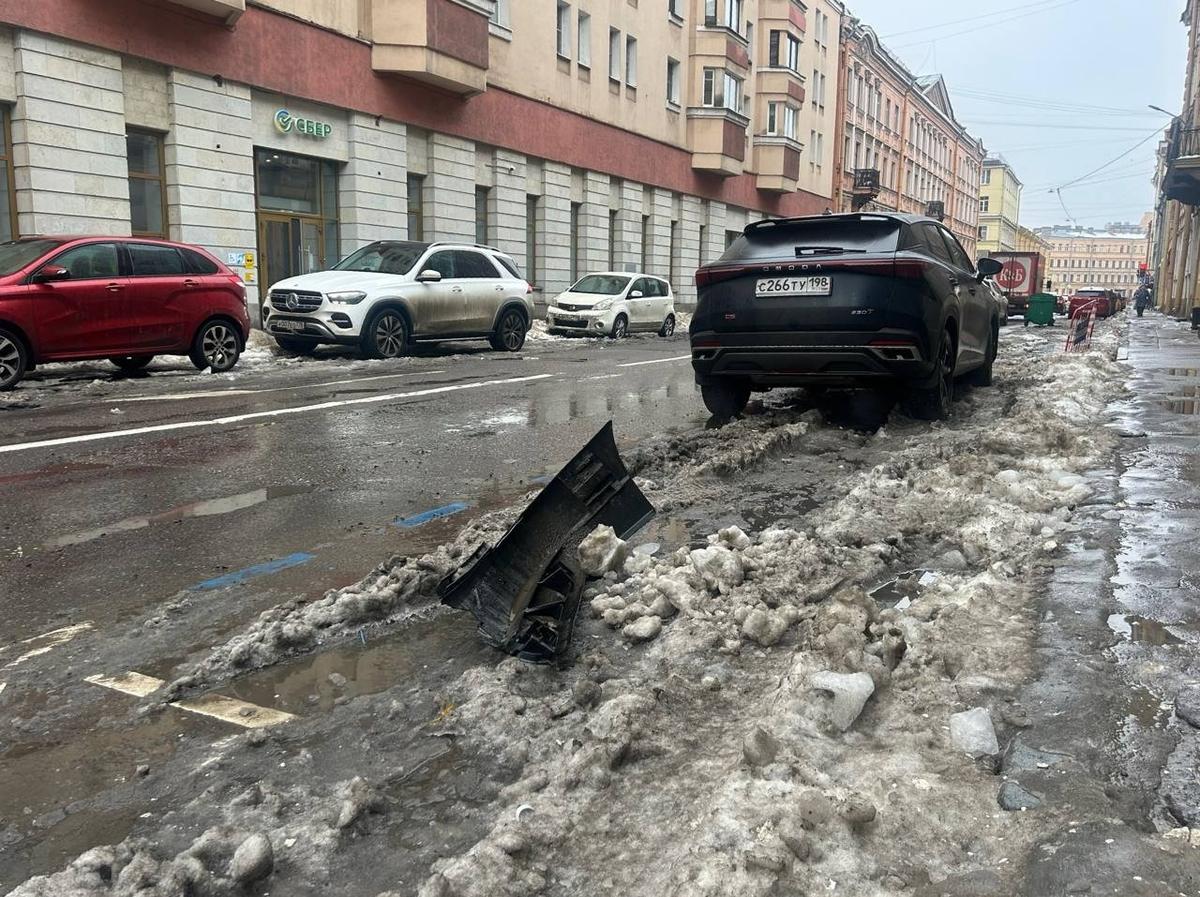 Фото: Дарья Дмитриева / MR7