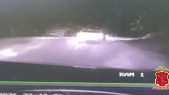 Скриншот видео: Петербургская полиция