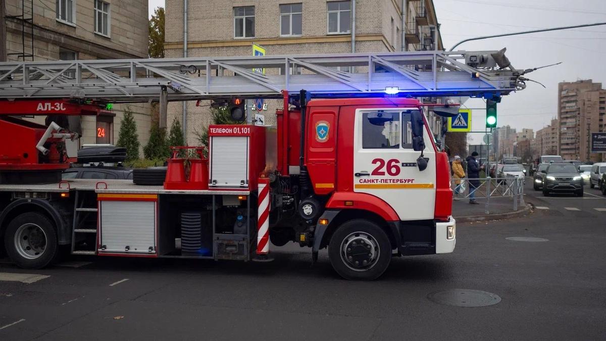 При пожаре на Екатерининском проспекте погибло два человека. Там загорелся  мусор — Новости Санкт-Петербурга › МР7.ру