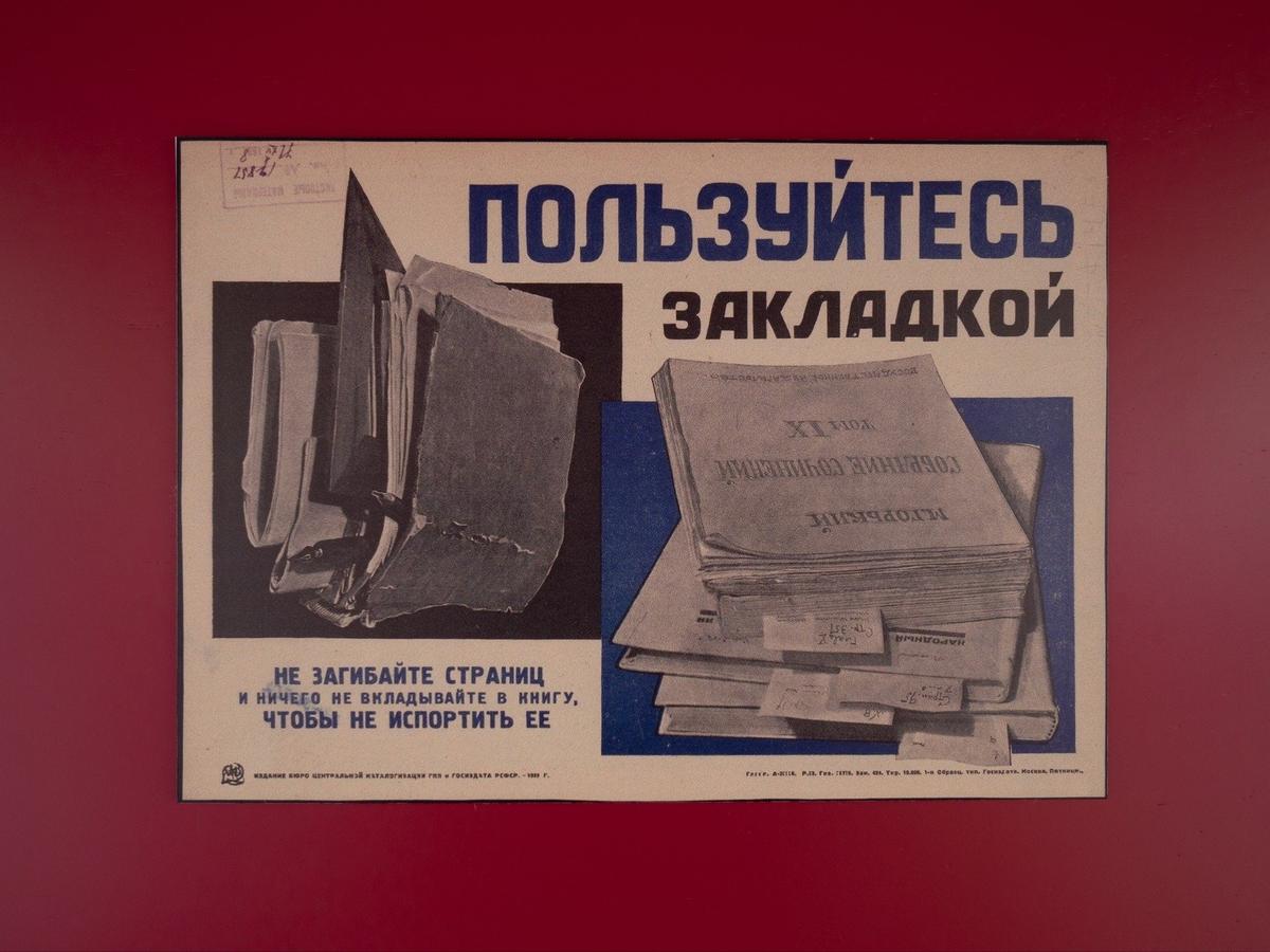 Книжные аллеи на Малой Конюшенной. Фото: Дмитрий Абрамов / MR7