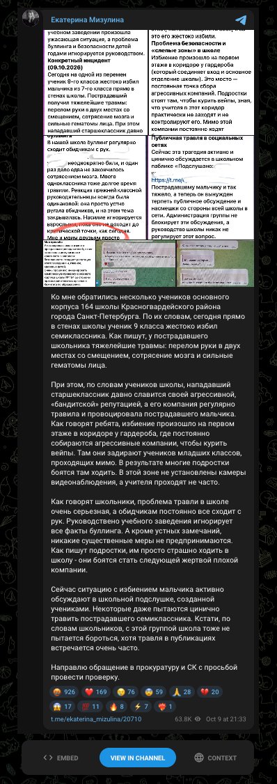 Скриншот telegram-канала Екатерины Мизулиной