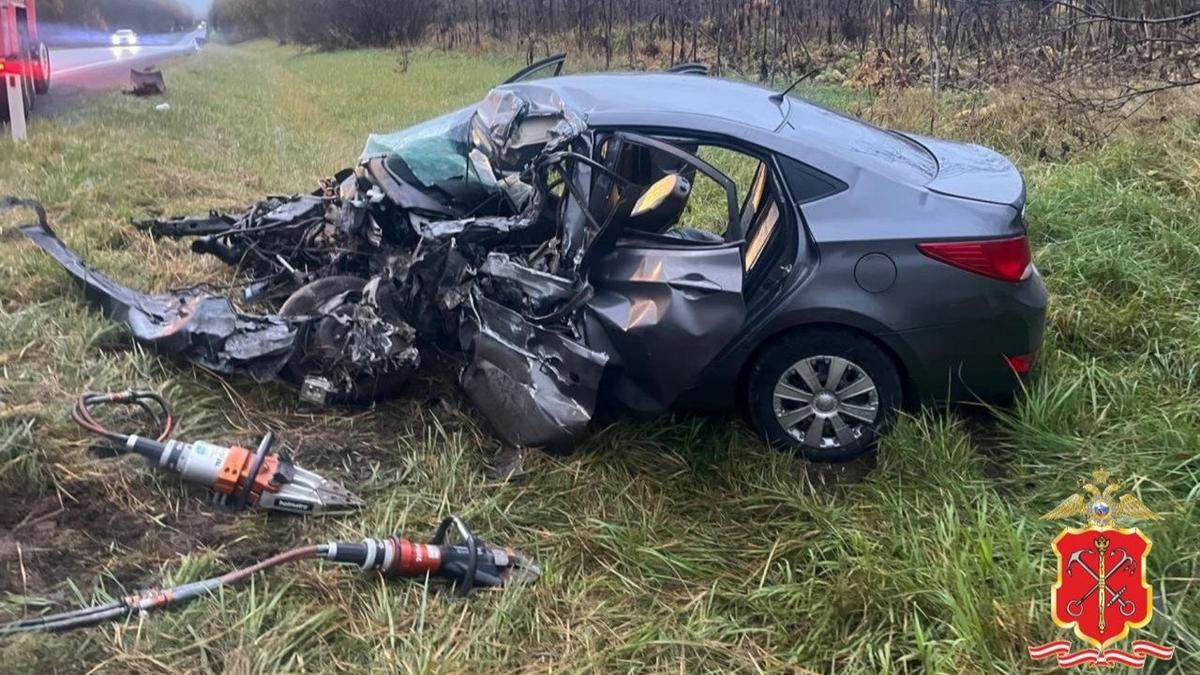 Фото: Г У МВД России по Петербургу и Ленобласти