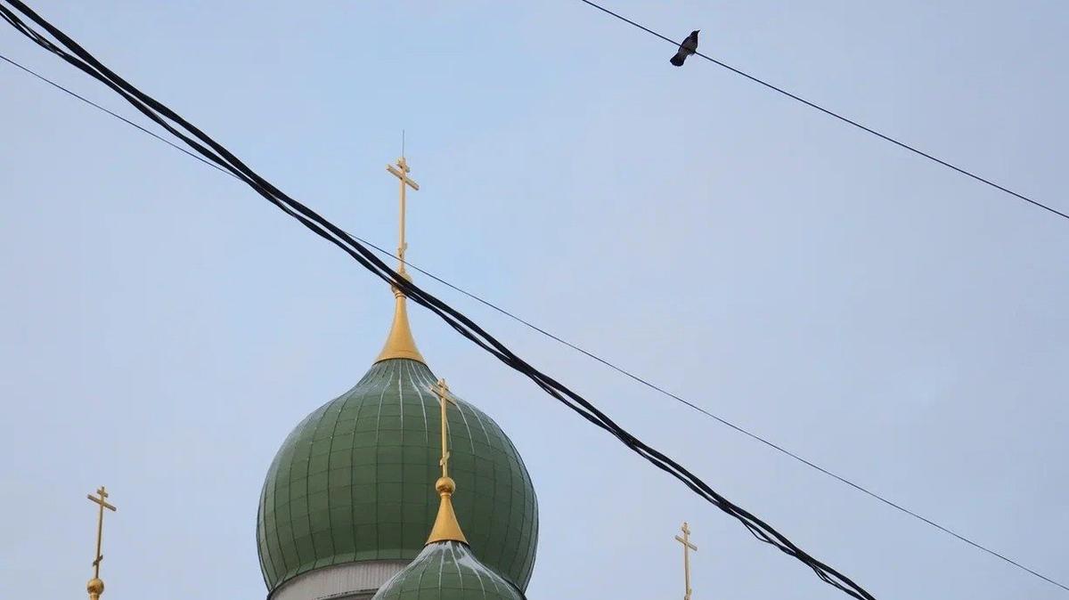 Неадекватный мужчина разделся перед алтарём в храме Новодевичьего монастыря