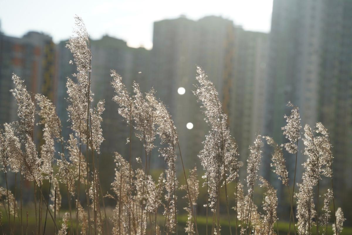 Фото: Павел Борисенко / MR7