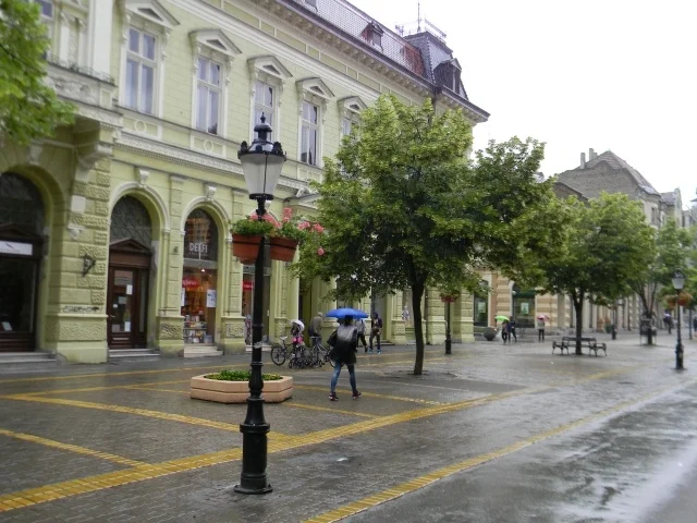 Subotica-25-05-2014 (19)