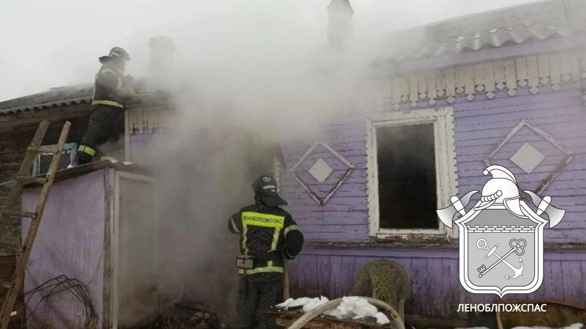 Фото: ГКУ «Леноблпожспас»