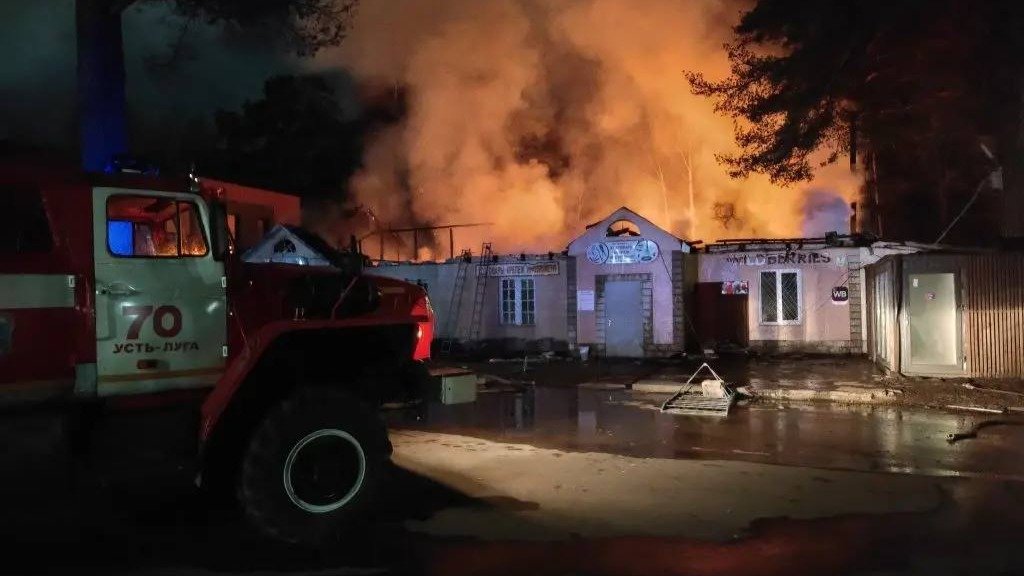 Фото: МЧС Ленобласти