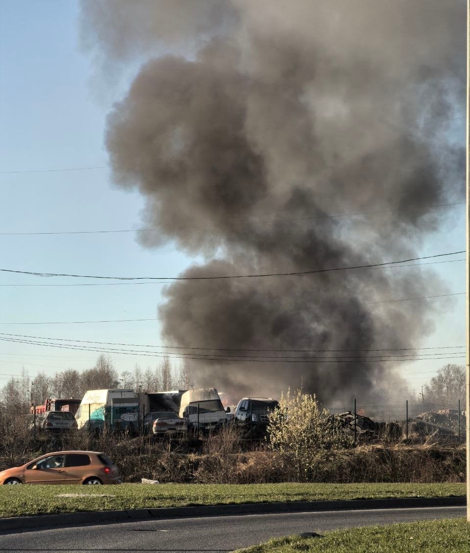 Фото: «Мегаполис»