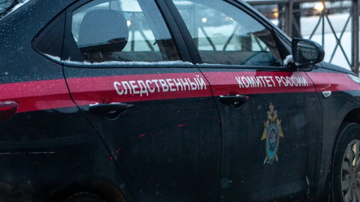 СК проверит приговор, который суд в Петербурге вынес напавшему на полицейских