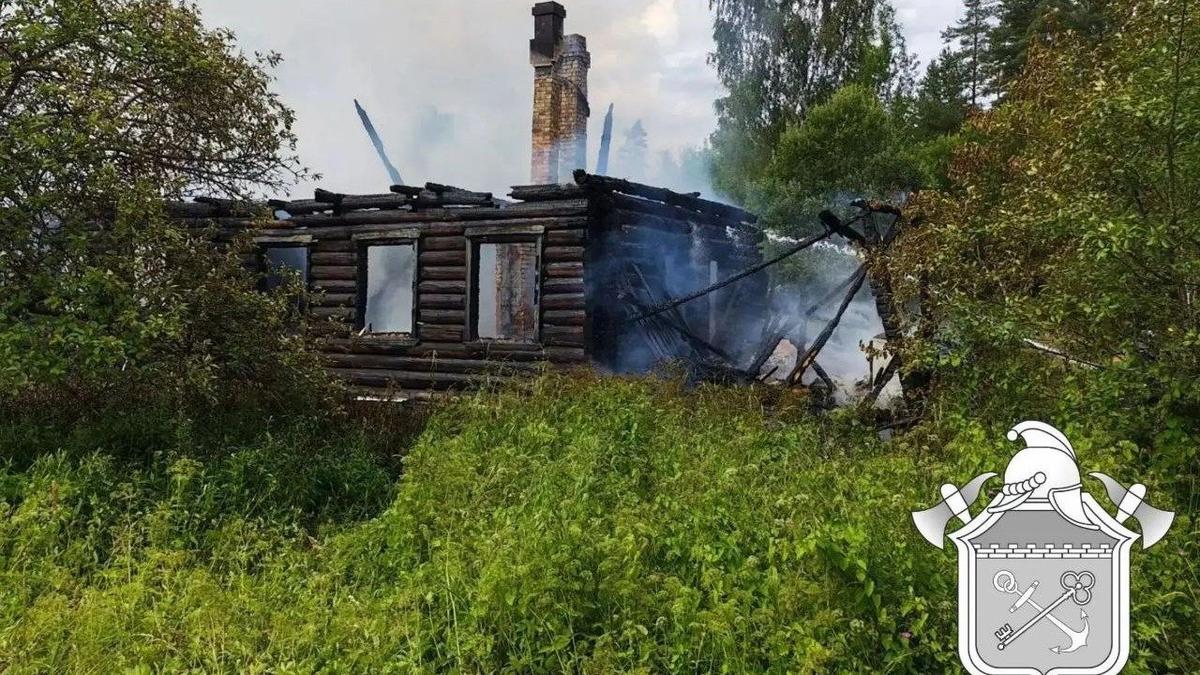 Фото: ГКУ «Леноблпожспас»