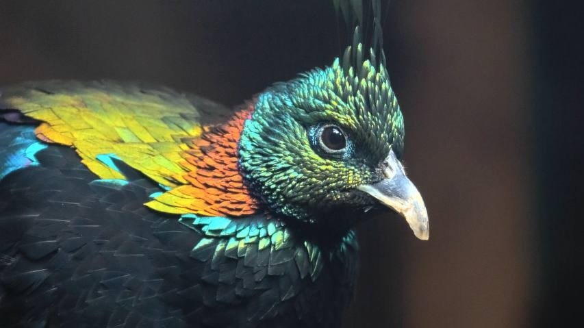 Фото: Ленинградский зоопарк