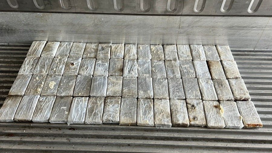 Фото: Telegram-канал «МВД Медиа»