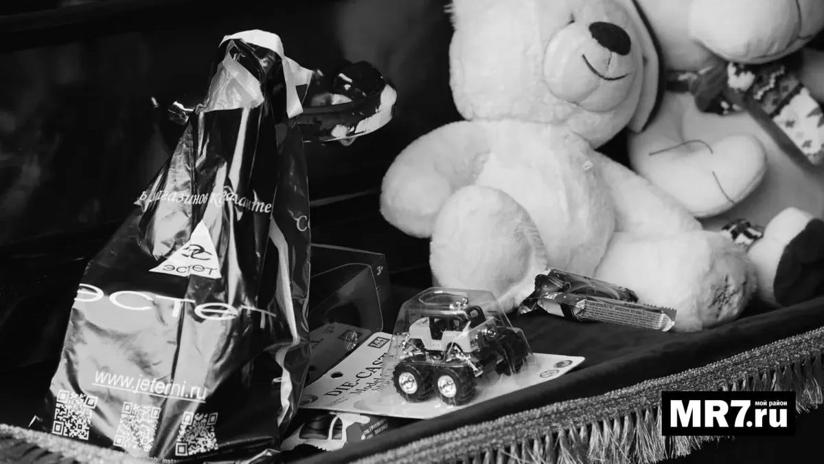 Фото: Павел Борисенко / MR7